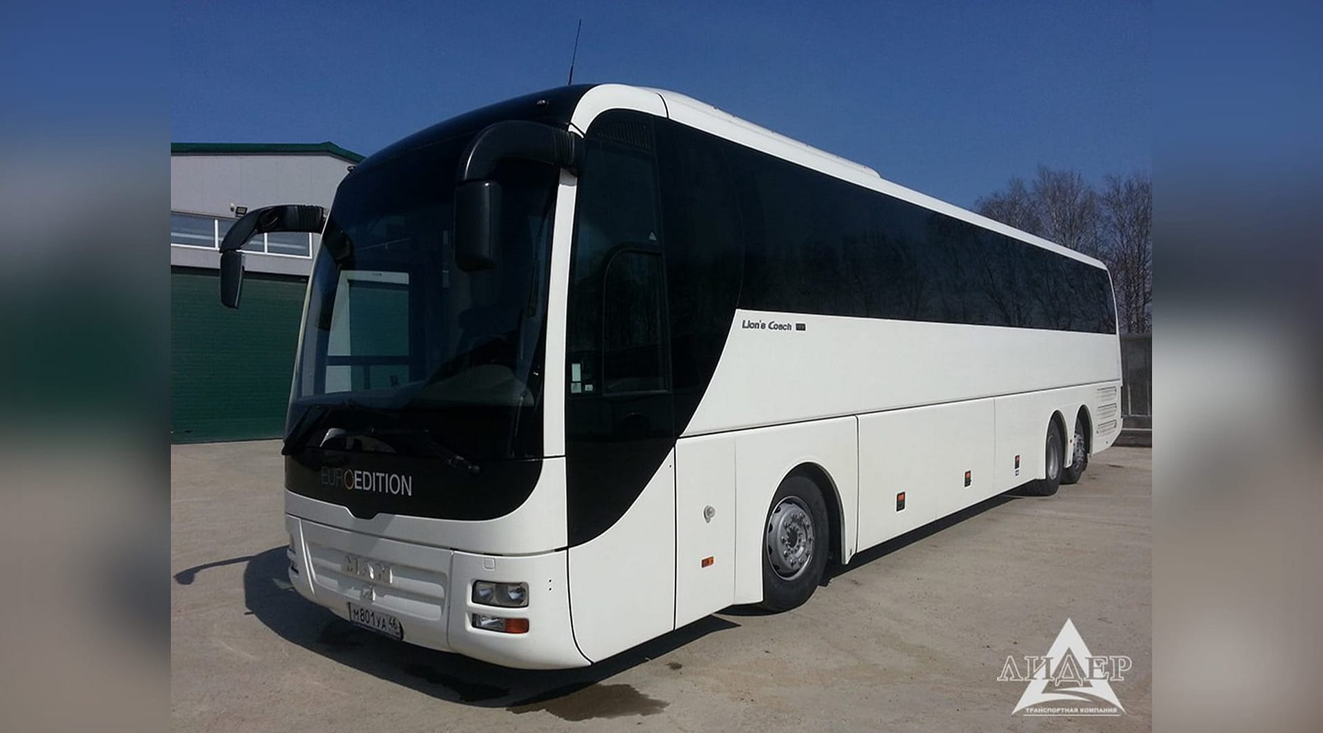 3MAN LIONS COACH R08_1